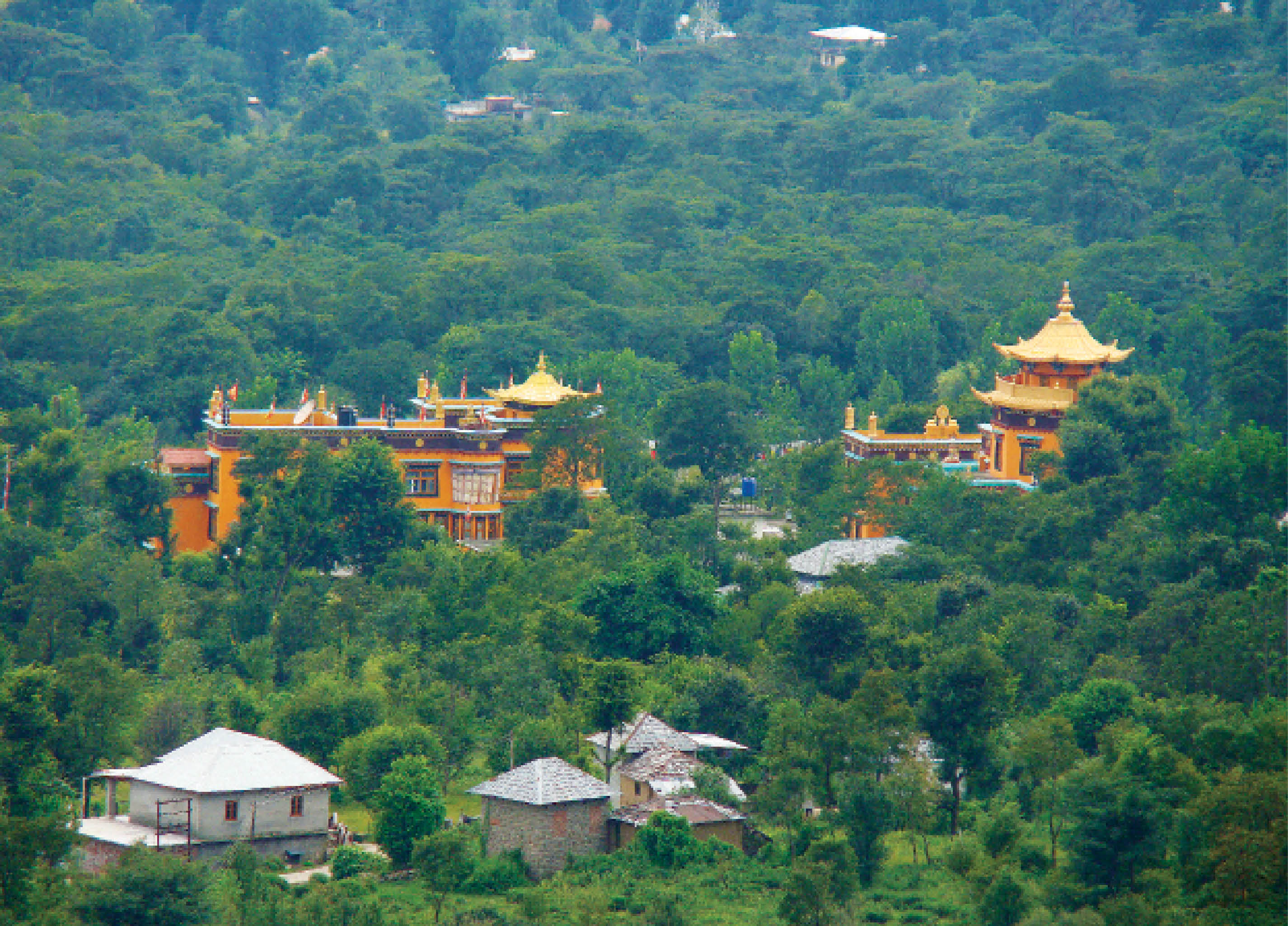 Palampur in the Rains